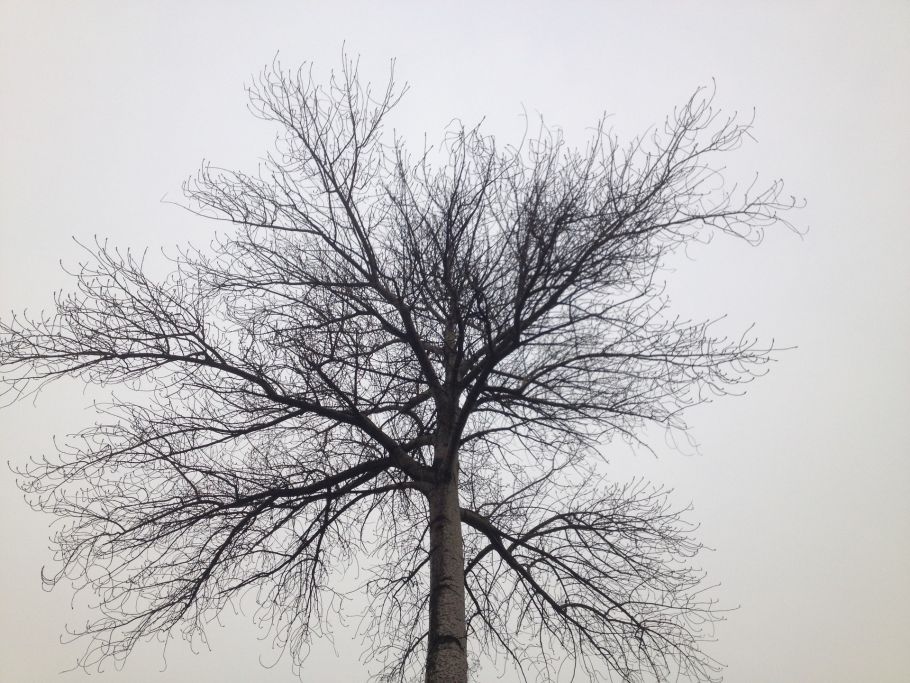 DAI JIAN | CIE MAIOUI DANSE ARTS - JUILLET 2021