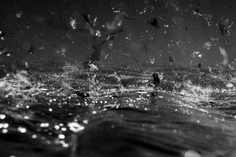 ANNE MARTIN - ASSOCIATION MÂ | AVRIL & MAI 2026